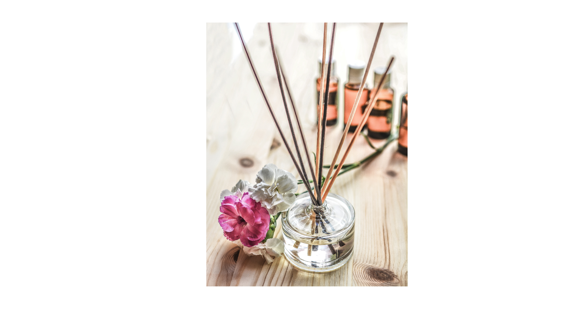 สมุนไพร & สุขภาพ