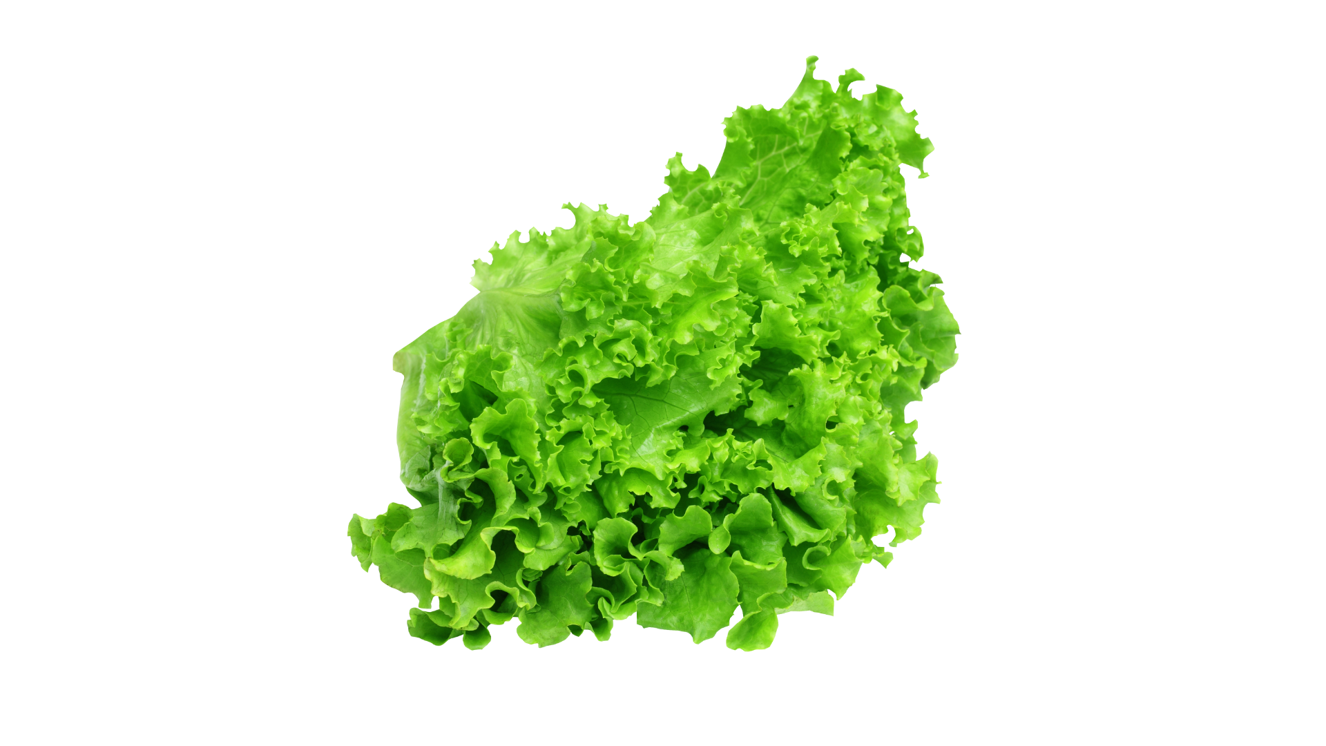 เกษตรกรรม